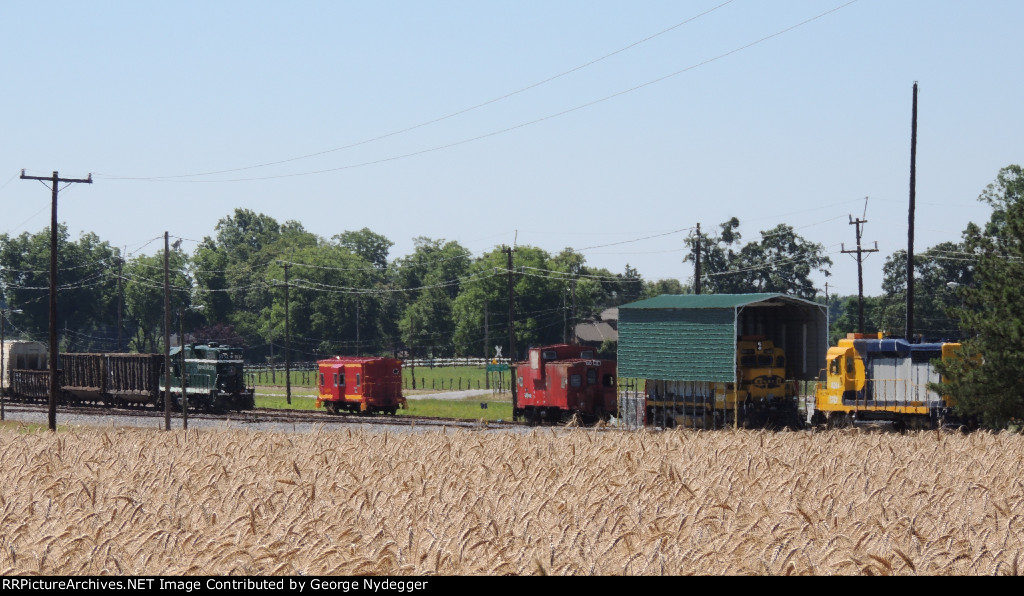 A shot @ the Yard with the zoom on a hot day